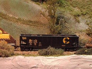 D (Small).JPG