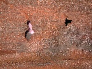 Caves.JPG
