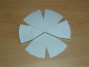 DSCF0081.JPG