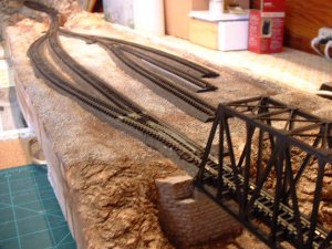 yard 1.jpg