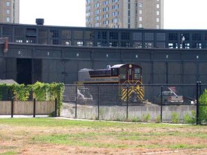 IMG_4271.jpg