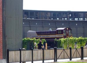 IMG_4278.jpg