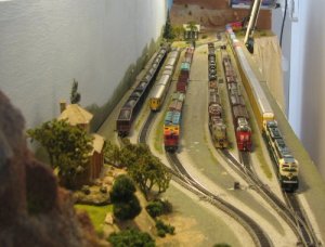 yard[1].jpg