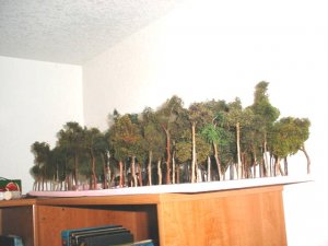 tree 3.JPG