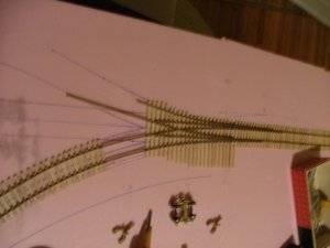 DSCF5505.JPG