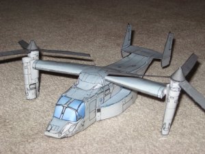 IMG_0510.jpg