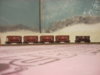 DSCN0828.JPG