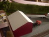 DSCN1005.JPG