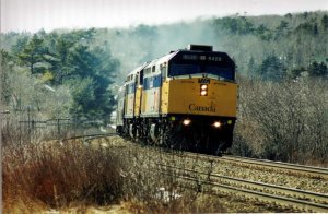 cdn003.jpg