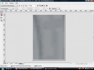 pic16.jpg