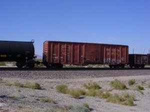 wc24238_01.jpg