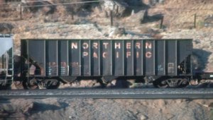 NP73601.jpg