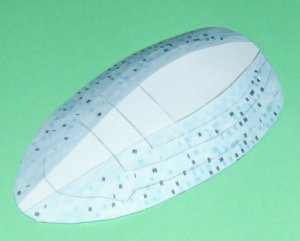 DSCI0461.jpg