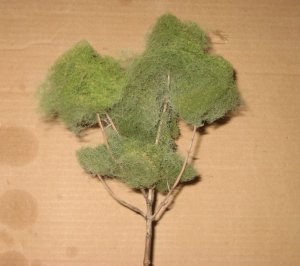 trees 011.jpg
