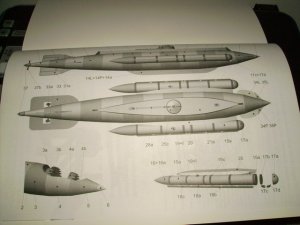 F2.jpg