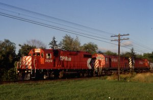 cp-3043.jpg