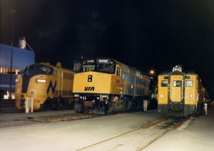 mimico2.jpg