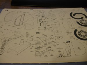 IMG_0285.jpg