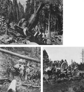 moving a skidder.jpg