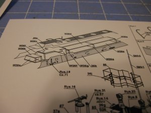 IMG_0303.jpg