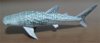 sharkwhale04.jpg