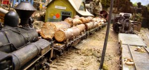 Camera on flat car.jpg