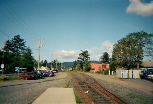 t001-019.jpg