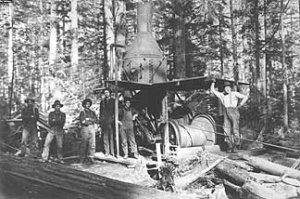 old-rosie.jpg