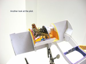 IMG_0050.jpg