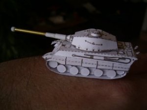 pap_tiger_II_l.jpg