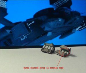 100.jpg