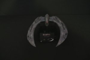 raider1.jpg