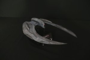 raider2.jpg