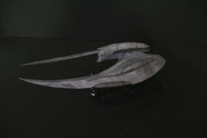 raider3.jpg