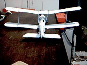Picture 79.jpg
