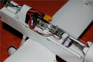 cram 2 (s).jpg
