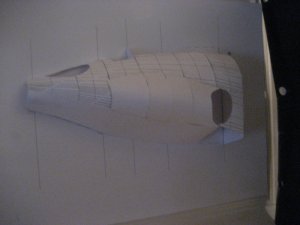 IMG_3724.jpg