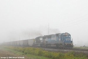 ns5410archboldoh9-10-03small.jpg