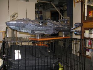 IMG_0599.jpg