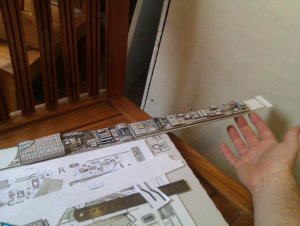 IMAG0184.jpg