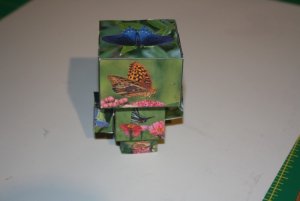 IMG_6245.jpg