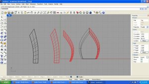 surface curve network.jpg
