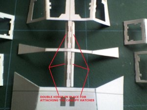 SP_A0387.jpg
