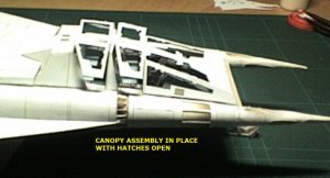 SP_A0390.jpg
