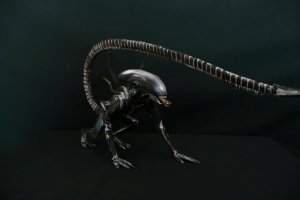 Xeno3.jpg Xeno3.jpg