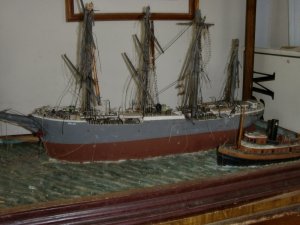 CIMG1293.jpg