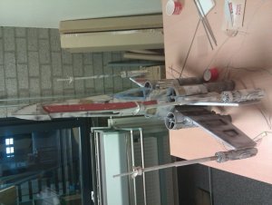 IMAG0564.jpg