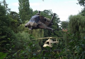raptor-flying14.jpg