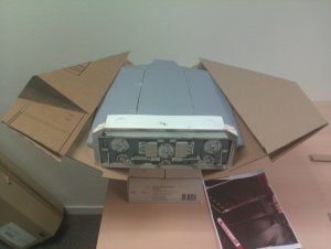 belly constr 2.jpg