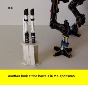 100.jpg